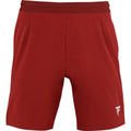Short Tecnifibre Team