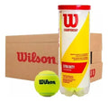Caja de pelotas de tenis Wilson Championship x24
